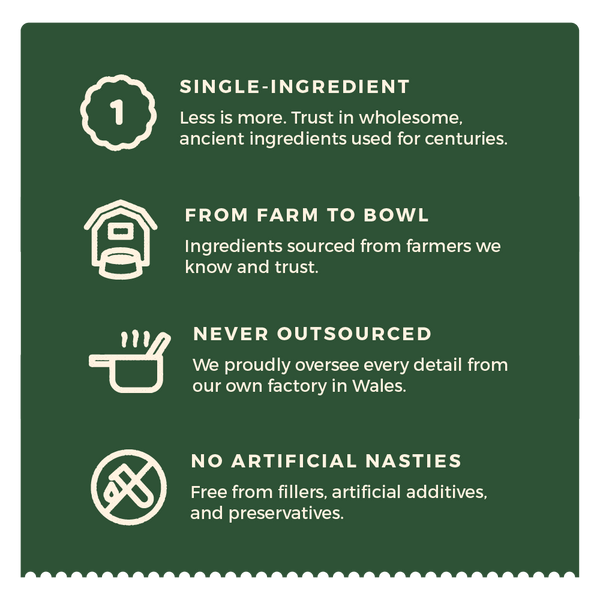 Bone Broth Powder for Dogs & Cats