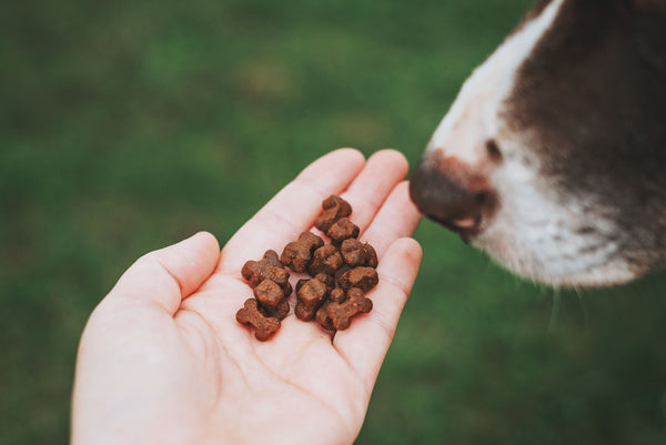 Select Salmon - Dog Treats